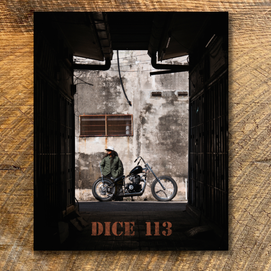 DicE Magazine 113